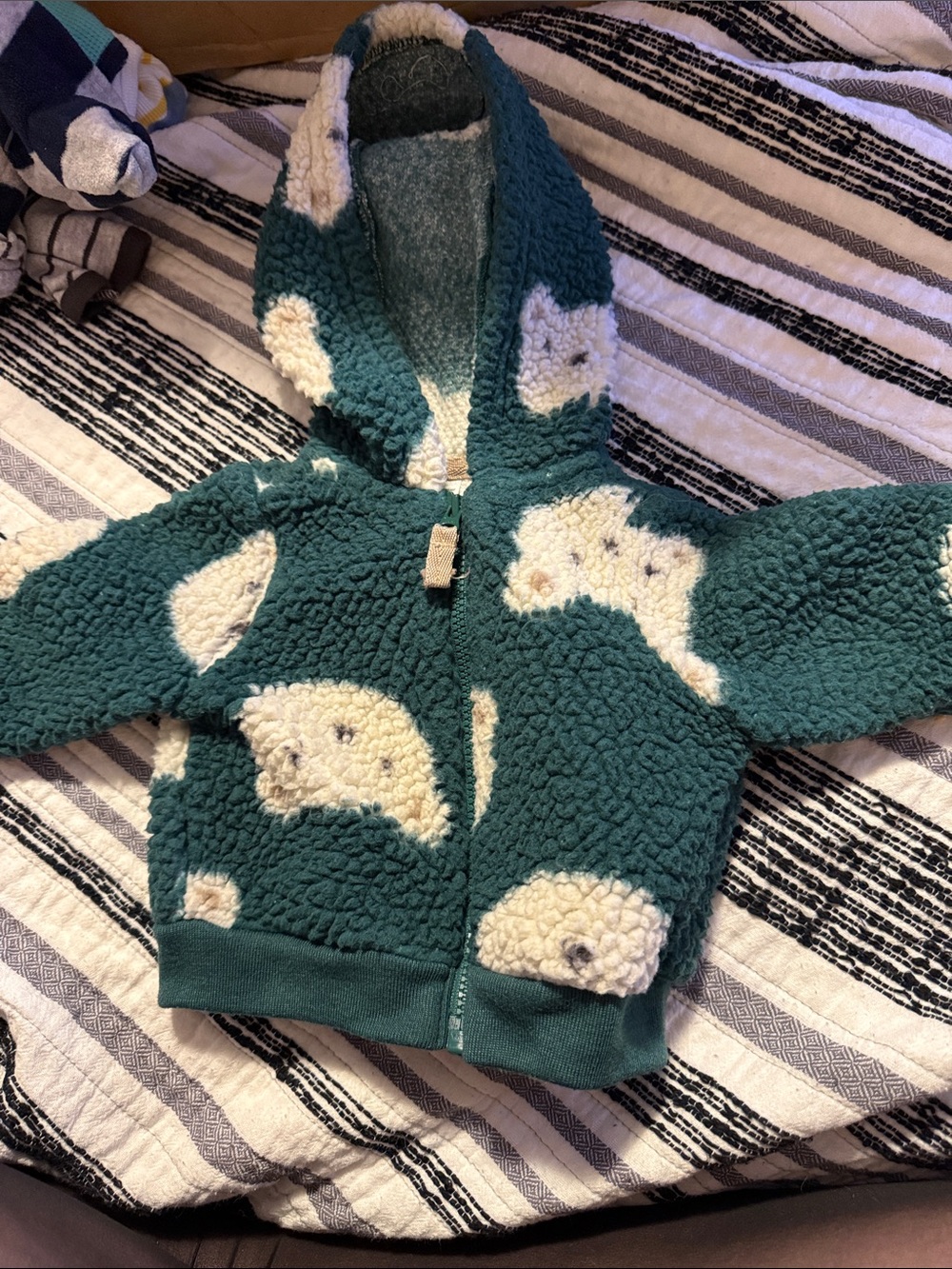 Carter's Teal Sherpa Hoodie with Cream Animal Patches